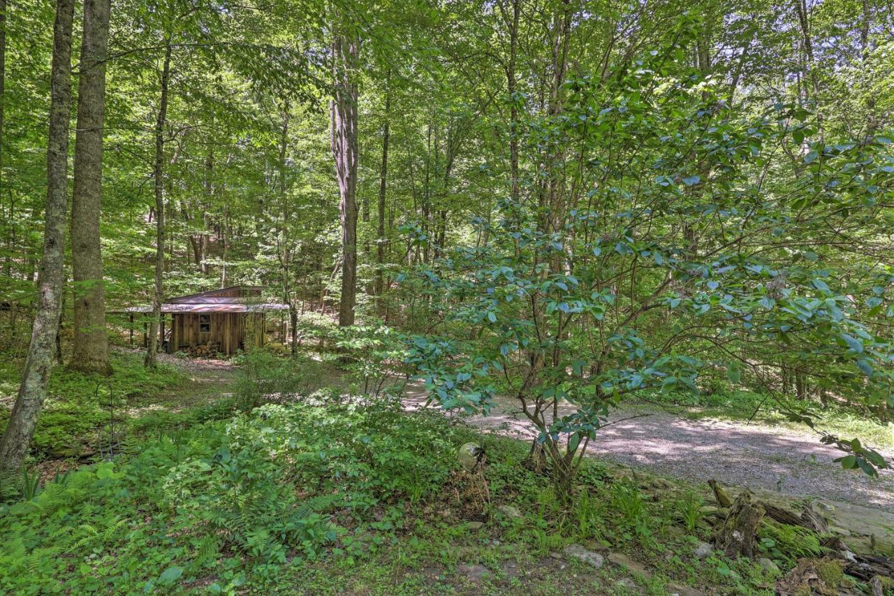 The Bird Sanctuary Fire Pit, Gas Grill And Hammock Vila Boone Exterior foto